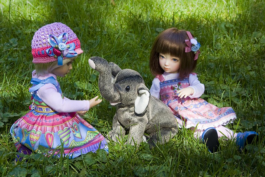 Happy Elephant Appreciation Day!